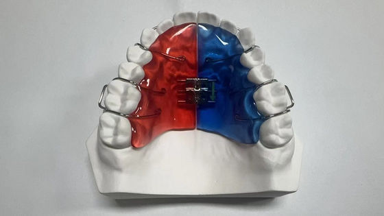 kaufen 2.4 Unzen Implantatkoffer für die Dentalsterilisation Dampfsterilisation online manufacture