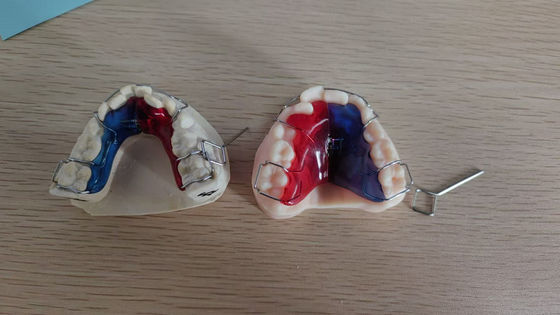 kaufen Hochwertiger Dentalimplantat-Fall online manufacture